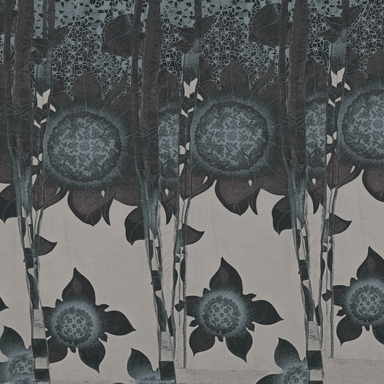 WDTH1902