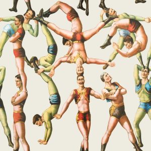 THE ACROBATS TAPETA MIND THE GAP