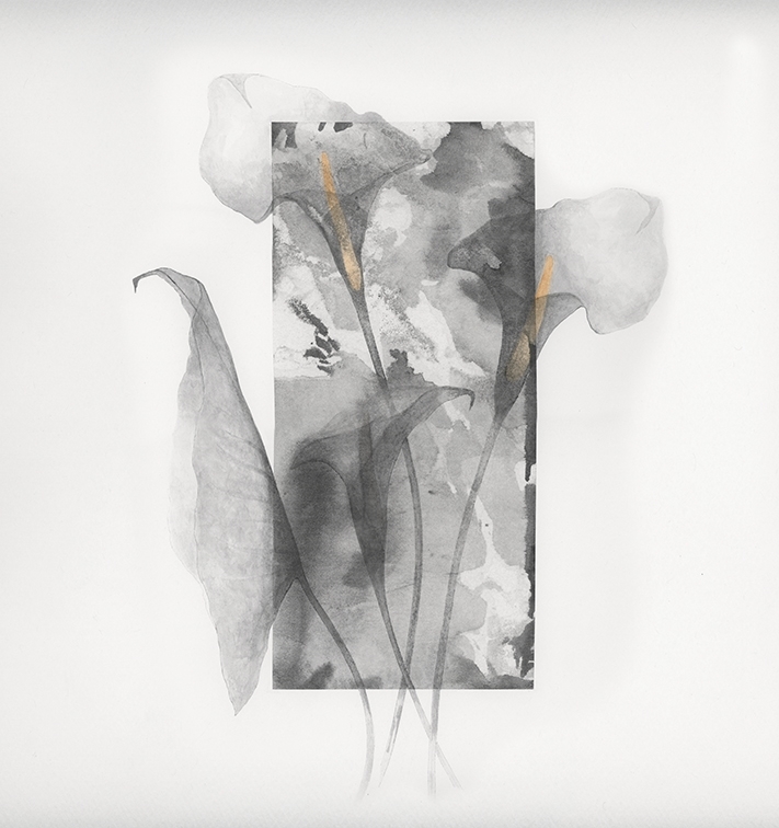 THE GREAT PRETENDER WET_GP1901