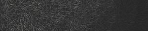 WDDS1701 TAPETA WALL&DECO