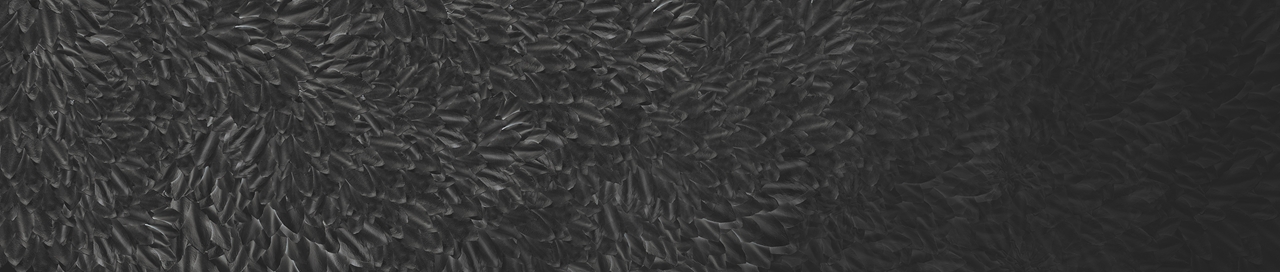 WDDS1701 TAPETA WALL&DECO