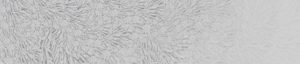 WDDS1702 TAPETA WALL&DECO