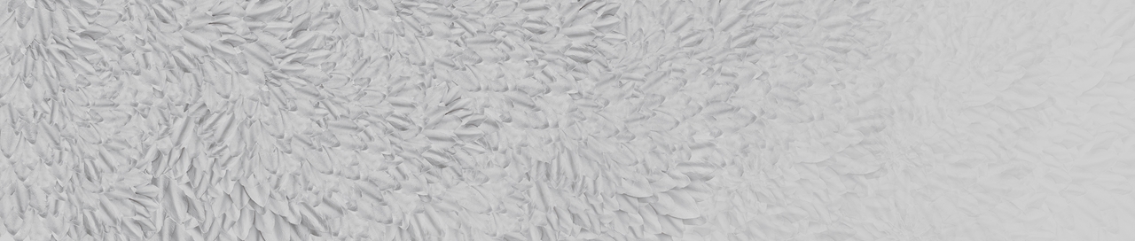WDDS1702 TAPETA WALL&DECO