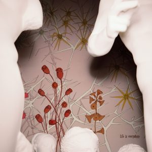 THE NARROW PATH TAPETA WALL&DECO