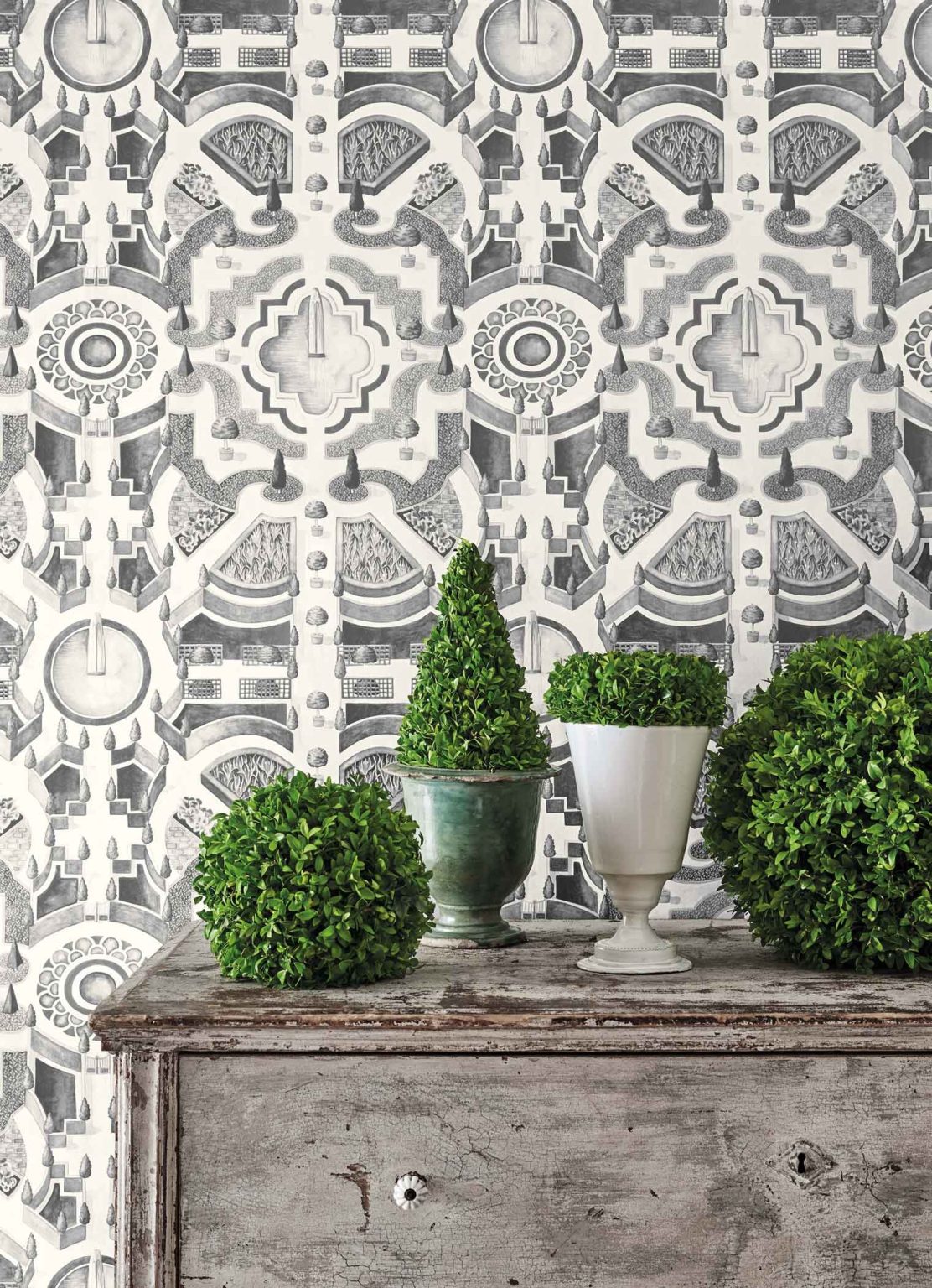 TOPIARY TAPETA COLE&SON