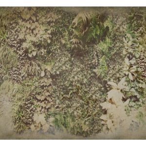 VERTICAL GREEN WDVG1503