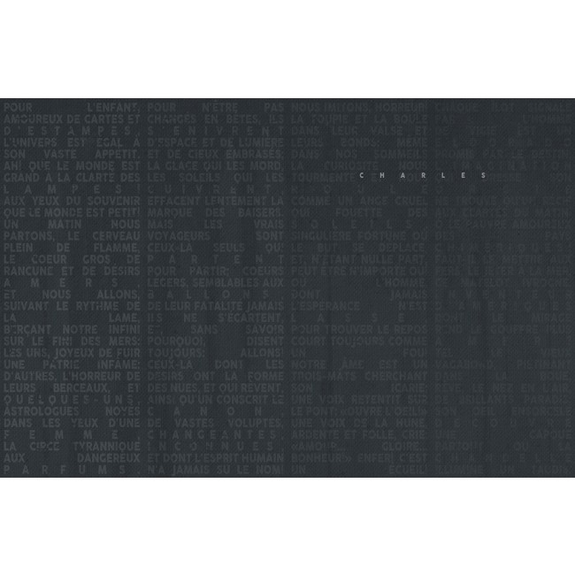 VOYAGE WDVO1601A