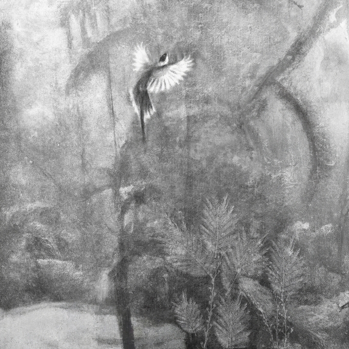 Visioni WDVI2301