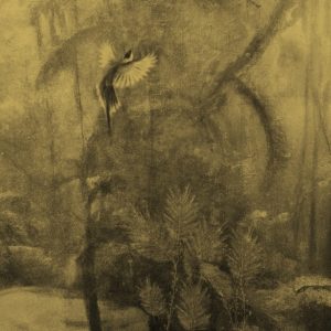 Visioni WDVI2302