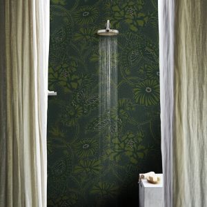 Psyche WET_PS2201 | WET 2022