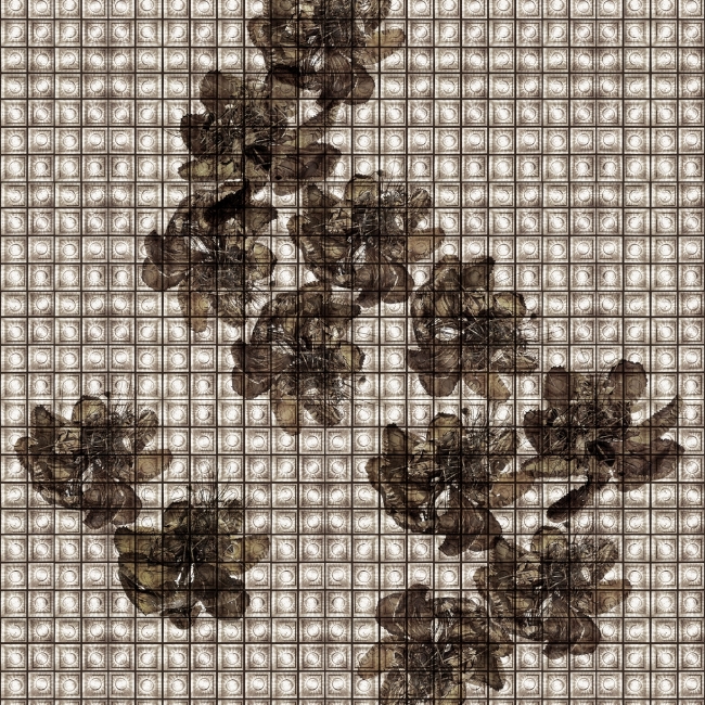 WDAK1802 TAPETA WALL&DECO cover