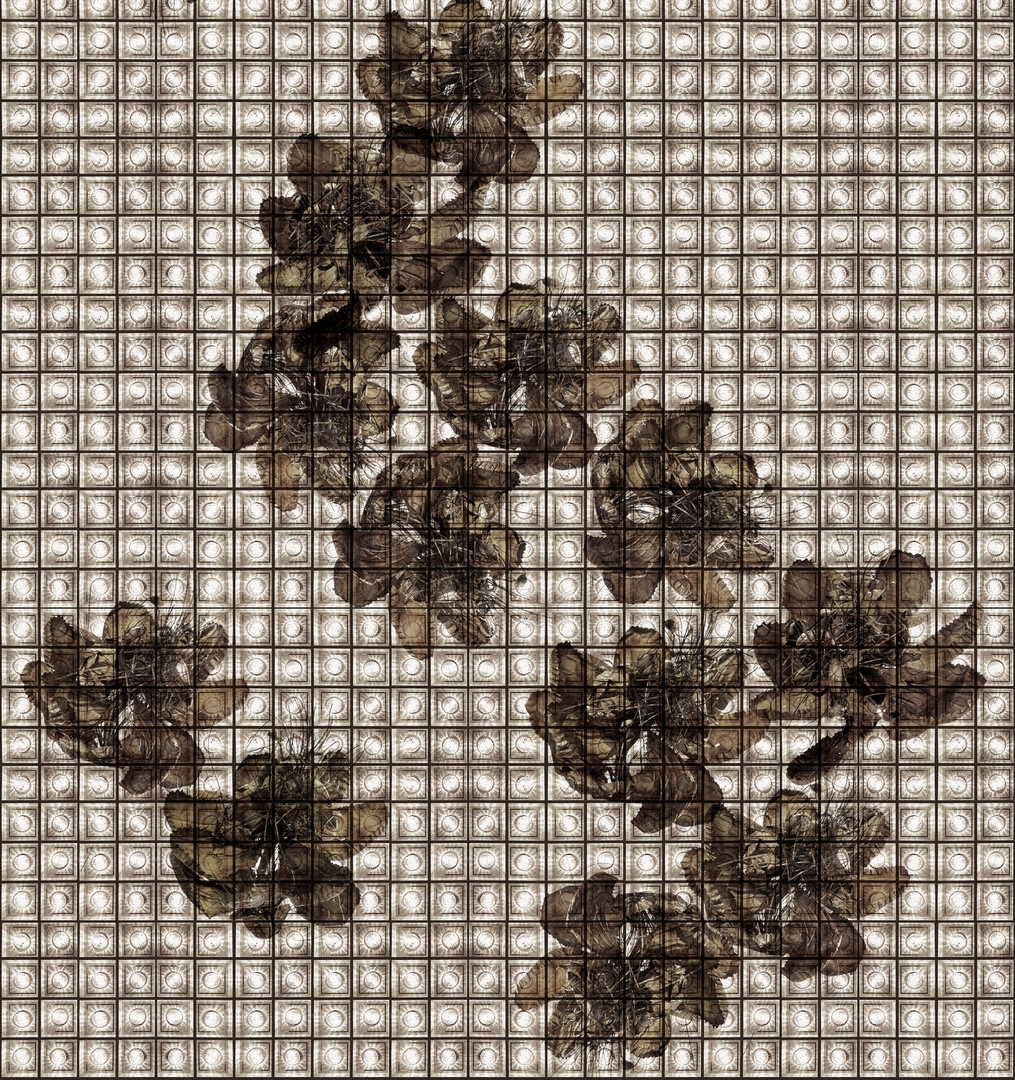 WDAK1802 TAPETA WALL&DECO
