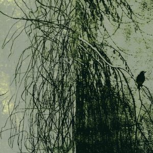 ALBA SALIX WDAS1802 cover
