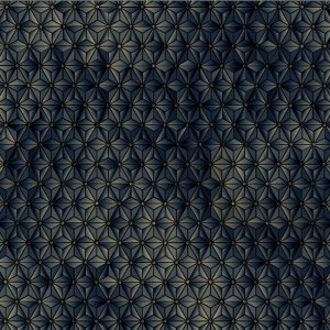 BRILLIANT DISGUISE WDBD1503 cover