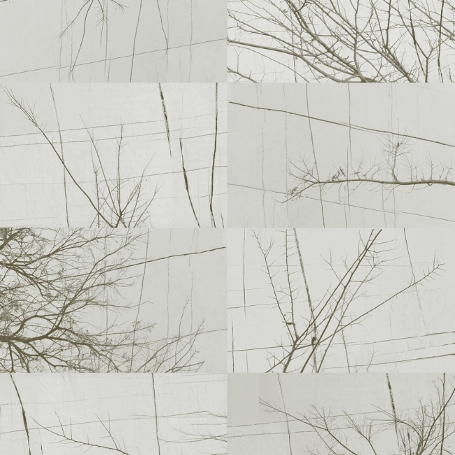cover 2