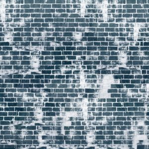 WDBL1202 TAPETA WALL&DECO cover