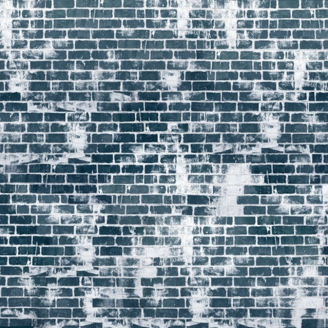 WDBL1202 TAPETA WALL&DECO cover