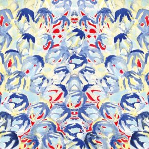 BLUEROUGE WDBL1501 cover
