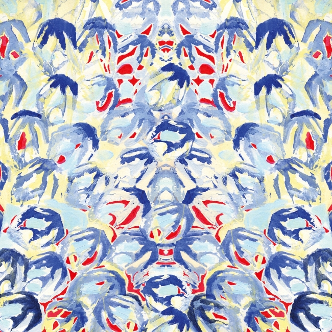 BLUEROUGE WDBL1501 cover