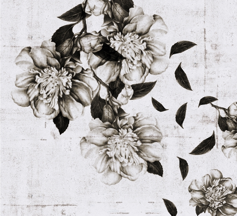 WDCA1202 TAPETA WALL&DECO