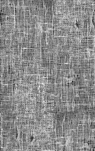 WDCA1401 TAPETA WALL&DECO