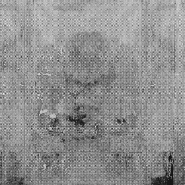 WDCM1401 TAPETA WALL&DECO cover