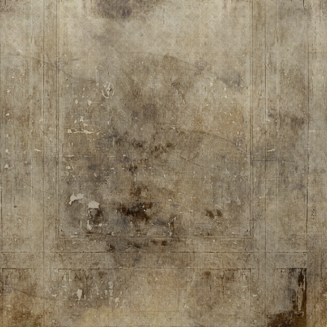 WDCM1402 TAPETA WALL&DECO cover
