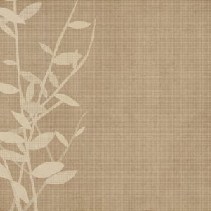 WDCO1402 TAPETA WALL&DECO cover