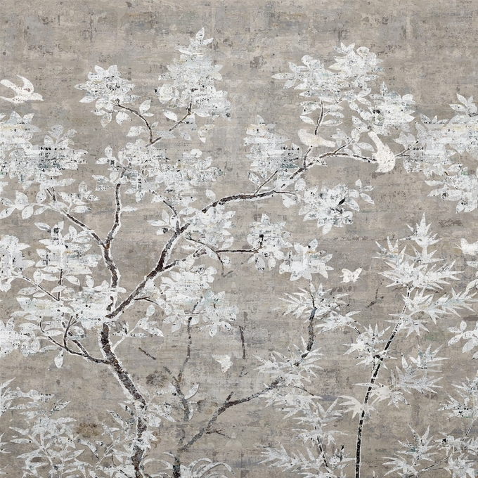 Daphne WDDA2301 | CWC 2023