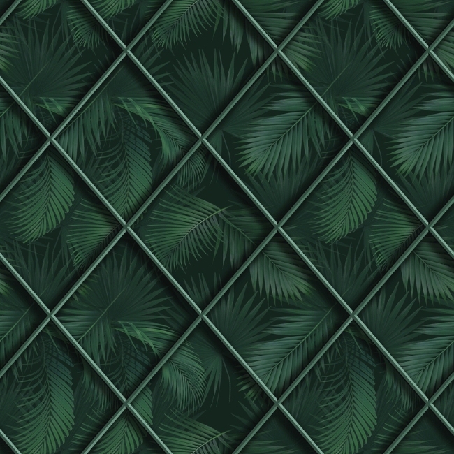 WDDE1902 cover