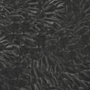 WDDS1701 TAPETA WALL&DECO cover