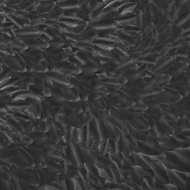 WDDS1701 TAPETA WALL&DECO cover