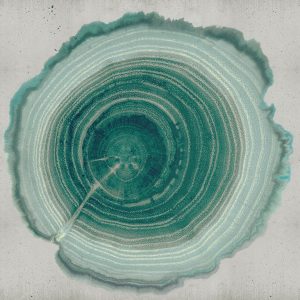 Tree of Life WDEE2101