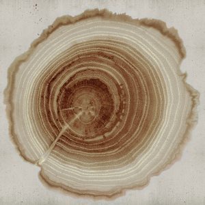 Tree of Life WDEE2102