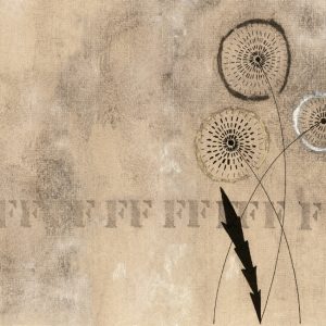 FFF... WDFF1501 cover
