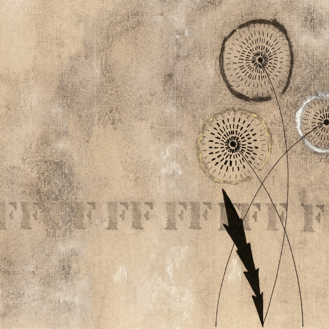 FFF... WDFF1501 cover