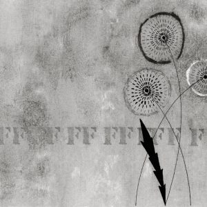 FFF... WDFF1502 cover