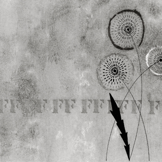 FFF... WDFF1502 cover