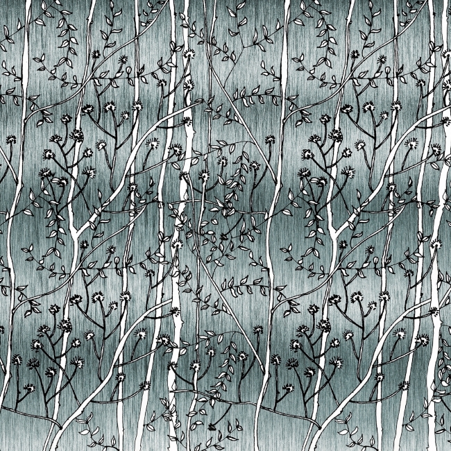 WDFI1501 cover