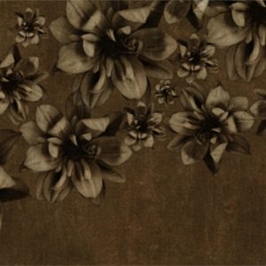 WDFP1102 TAPETA WALL&DECO cover