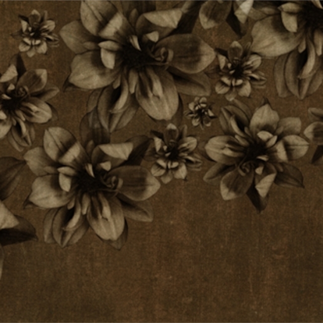 WDFP1102 TAPETA WALL&DECO cover