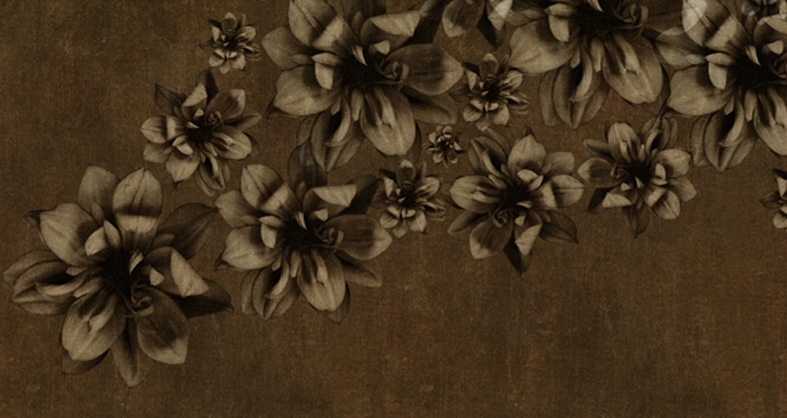 WDFP1102 TAPETA WALL&DECO