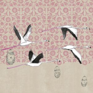 GREAT ESCAPE WDGE1601 cover