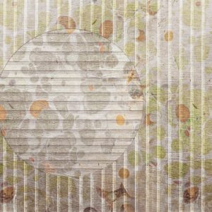 IRIDE TAPETA WALL&DECO WDIR1702 cover
