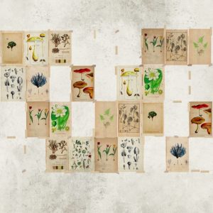 WDJV1402 TAPETA WALL&DECO cover