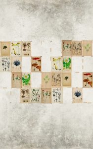 WDJV1402 TAPETA WALL&DECO