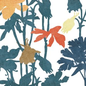 KONA WDKO1801 cover