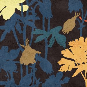 KONA WDKO1802 cover
