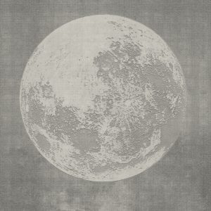 LUNA PLENA TAPETA WALL&DECO WDLU1702 cover