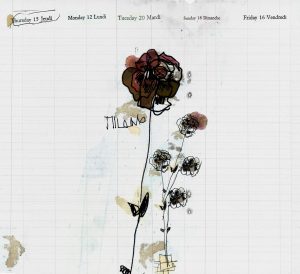 WDMI1402 TAPETA WALL&DECO